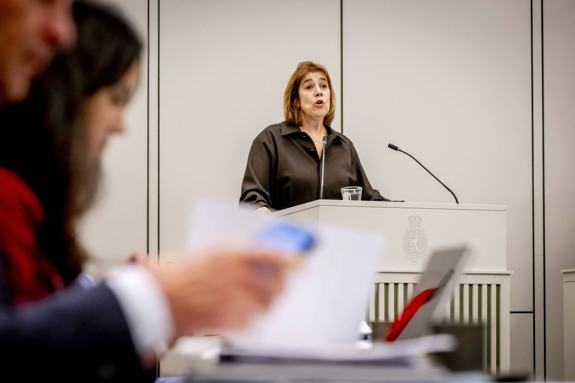 Senator Roovers (GroenLinks-PvdA)