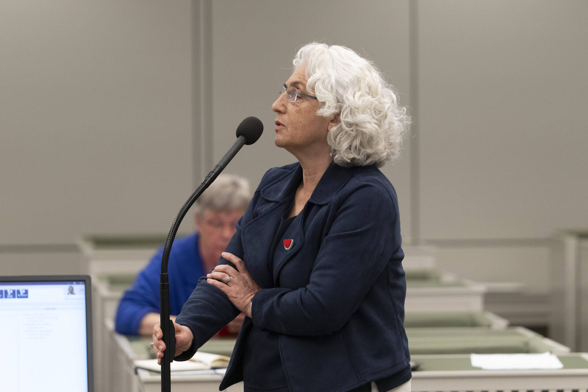 Senator Karimi (GroenLinks-PvdA)