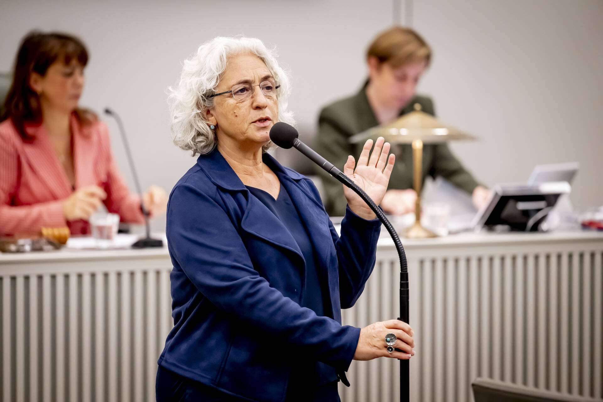 Senator Karimi (GroenLinks-PvdA)