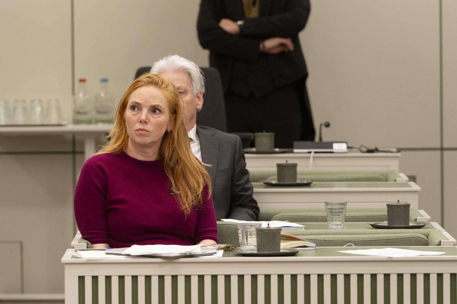 Senator Aerdts (D66)