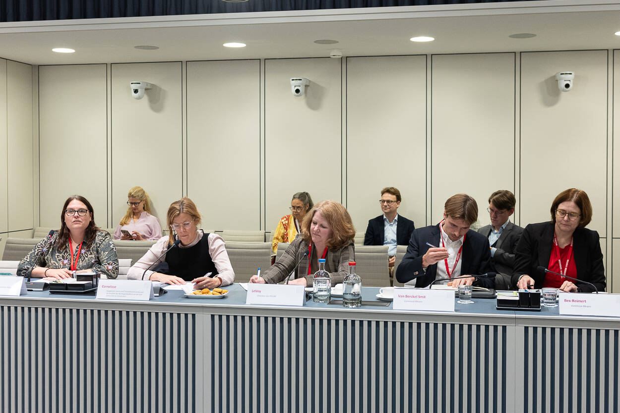 De experts hadden veel kritische punten